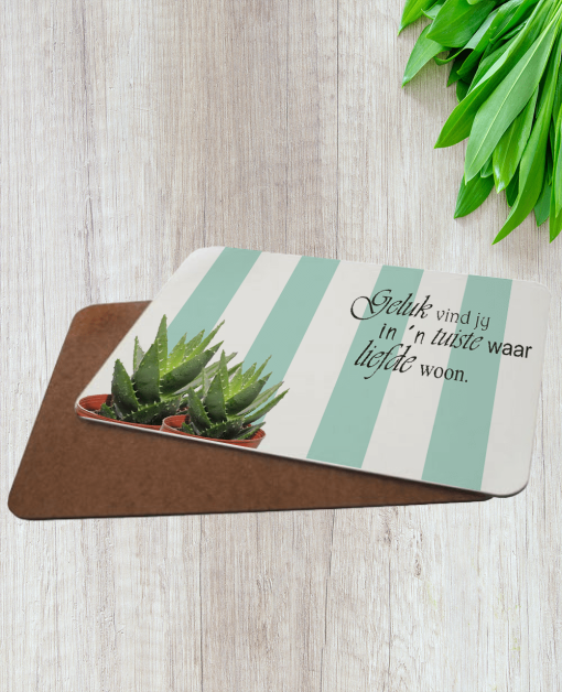 Aloe Placemats