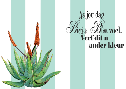 Aloe Placemats - Day