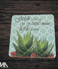 Aloe Coaster