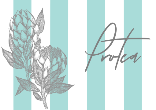 Aqua Striped Protea