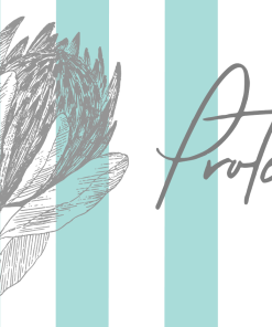 Aqua Striped Protea