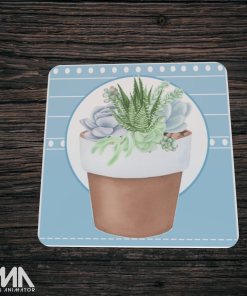 Succulent Coasters